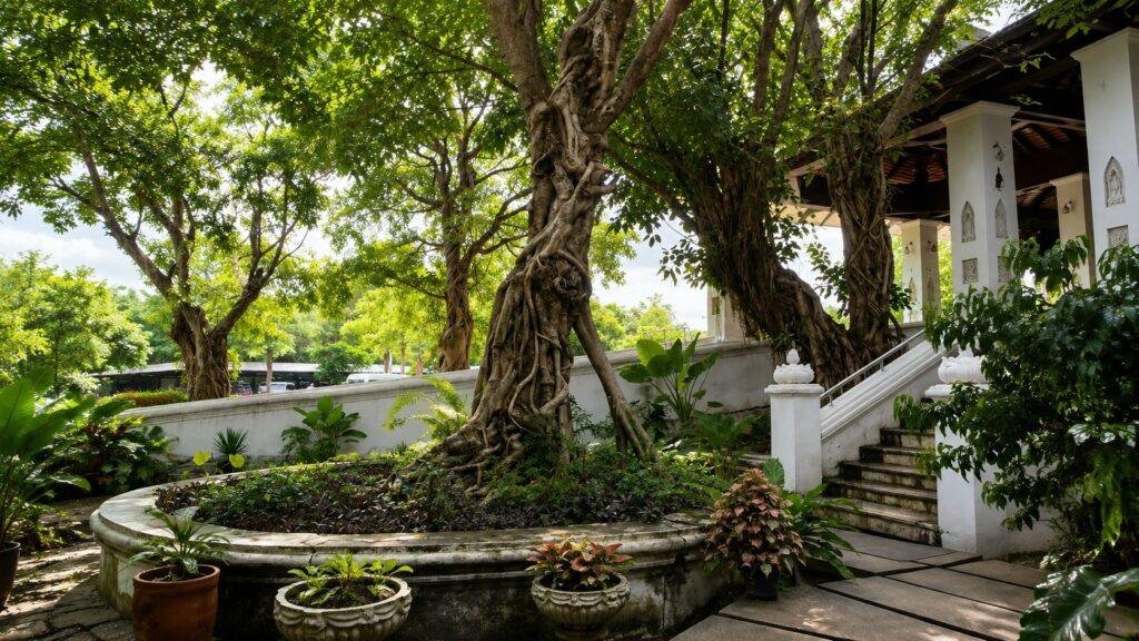 Solar panels helping reduce electricity costs in Chiang Mai, Thailand